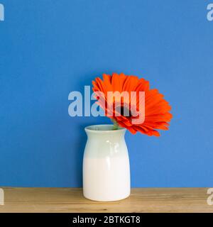 Orangene Gerbera Blume in Vase auf Holztisch mit blauem Hintergrund. Blumenarrangement, Kopierraum Stockfoto