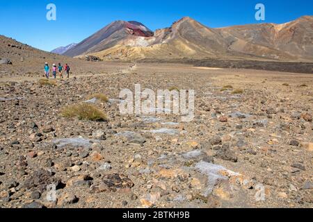 Tongariro Alpine Crossing-Iker im Zentralkrater, mit Mt Ngauruhoe dahinter Stockfoto