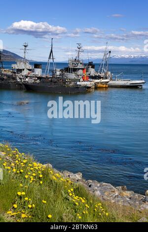 Ushuaia Marinestützpunkt, Feuerland, Patagonien, Argentinien Stockfoto