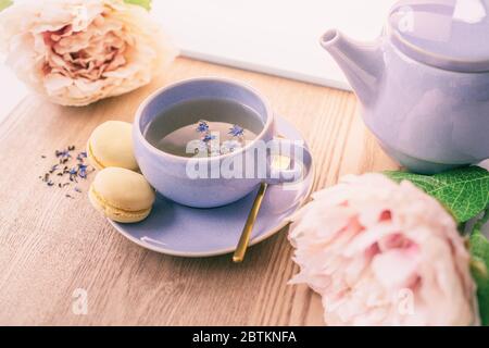 Tee Tasse Hause servieren für einen englischen schwarzen Tee schwarzen Tee mit Teekanne und Macarons Cookies mit schönen rosa Pfingstrosen Blumen Dekoration. Stockfoto