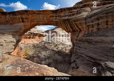 UT00646-00...UTAH - Sipaju Brücke im White Canyon am Natural Bridges National Monument. Stockfoto