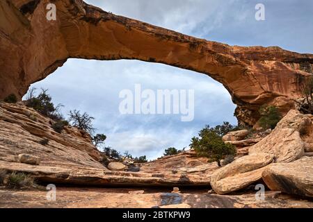 UT00670-00...UTAH - Owachomo Bridge in Natural Bridges National Monument. Stockfoto