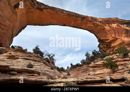 UT00671-00...UTAH - Owachomo Bridge in Natural Bridges National Monument. Stockfoto