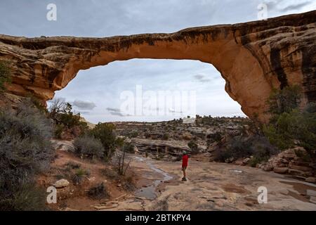 UT00674-00...UTAH - Wandern an der Owachomo Bridge im Natural Bridges National Monument. Stockfoto