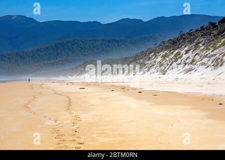 Wanderer auf dem South Coast Track entlang Prion Beach Stockfoto