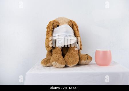 Braun flauschige Hundepuppe mit chirurgischen Schutzmaske zur Prävention covid-19 Krankheit mit rosa Keramik Tee Tasse auf der Innenseite Hause weißen Stoff Tisch zurück Stockfoto