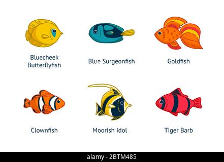 Set von sechs tropischen Fischen mit ihren Namen. Clownfish, Goldfish, Butterflyfish und andere. Vektor-Illustration im Cartoon-Stil Stock Vektor