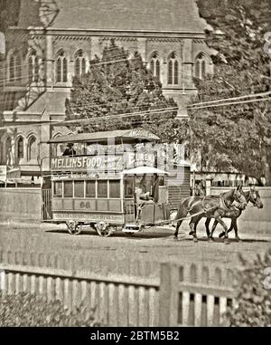 Eine Pferdestraßenbahn in den Straßen von Adelaide, South Australia um 1900. Adelaide hatte Australiens erstes und größtes Pferdebahnnetz (1878–1914) und wuchs auf 11 Betreiber und 82 km Länge. Die Elektrifizierung begann 1908. Diese Doppeldeckerbahn der Adelaide and Suburban Tramway Co, Nr. 66, hat ein Zielbrett mit den Aufzeigestellen "North Adelaide" und "Zoo Gardens". An Bord sind Werbeschilder für Mellin's Food, Eureka Tobacco und Amcoorie Tea. Stockfoto