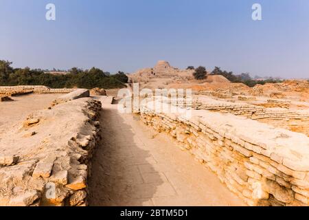 Mohenjo daro, archäologische Stätte der Indus-Tal-Zivilisation, 2500 v. Chr., Larkana District, Sindh Provinz, Pakistan, Südasien, Asien Stockfoto