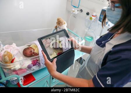 Eine Krankenschwester macht ein Video von einem neugeborenen Baby in der Entbindungsstation im Frimley Park Hospital in Surrey, um es den Eltern zu schicken, da die Besuchszeiten wegen COVID-Pandemie eingeschränkt sind. Bilddatum: 22/5/2020. Stockfoto