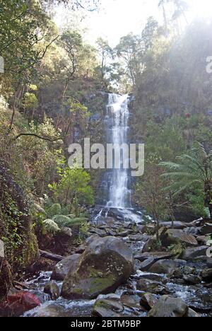 Wasserfall in den Vorästen, Australien Stockfoto