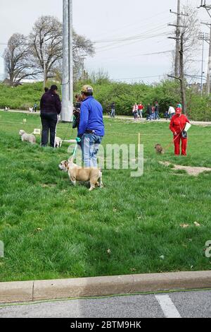 Festival-Atmosphäre bei der 'EASTER EGG HUNT FOR PETS' in Saint Louis Town- MO, USA Stockfoto