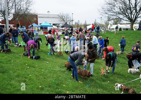 Festival-Atmosphäre bei der 'EASTER EGG HUNT FOR PETS' in Saint Louis Town- MO, USA Stockfoto