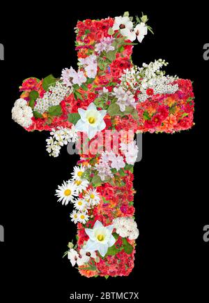 Trauer Jesus rotes Kreuz mit weißen Blumen. Isoliert auf schwarz handgefertigte Collage aus Blumen Stockfoto