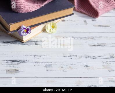 Alte Bücher und Blumen auf hellem Holzhintergrund. Lesekonzept. Freier Speicherplatz. Stockfoto