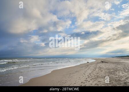 Ostseeküste mit Holzstumpf und bewölktem Himmel Stockfoto