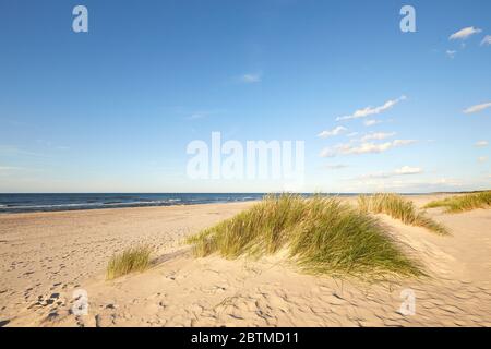 Nationalpark Slovinski, Sanddüne Leba an der Ostseeküste Stockfoto