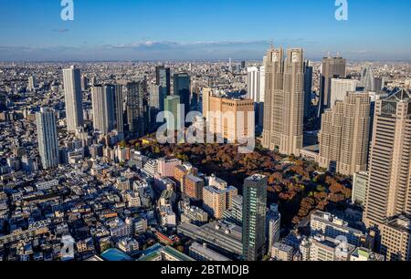 Japan, Tokio, Shinjuku, Central Park, Tocho Gebäude, Tokyo City Hall Gebäude. Stockfoto