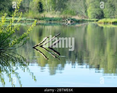 Frühlingslandschaft mit einem schönen ruhigen Fluss, grünen Bäumen und Gras am Flussufer, friedliche Reflexion im Flusswasser, Sedas Fluss, Lettland Stockfoto