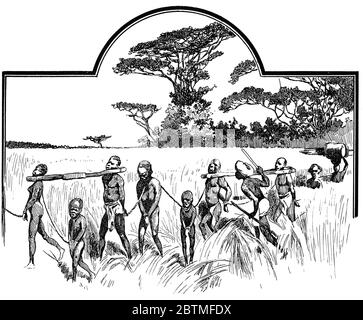 Gruppe von gefangenen Slaves. Illustration des 19. Jahrhunderts. Weißer Hintergrund. Stockfoto