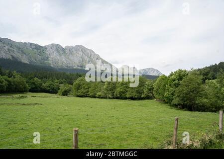 Landschaft von Atxondo Tal in der baskischen Landschaft, nordspanien Stockfoto