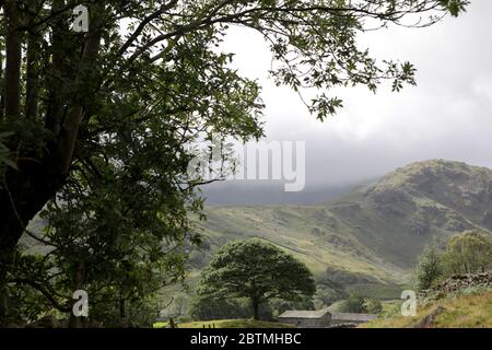 Little Langdale in der Lake Distrist, UK. Lokale Rsidents haben eine Aktionsgruppe eingerichtet, um die Anzahl der 4x4 und Geländewagen mit den grünen Gassen in der Umgebung zu begrenzen. Sie sagen, dass sie Schäden an der Fahrbahn verursacht haben, Umweltschäden an der Region und nachteilig auf das ländliche Leben. Stockfoto