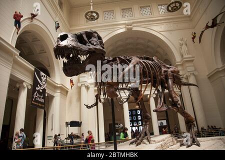 Horizontale Ansicht des Skeletts von Sue (Tyrannosaurus Rex) im Field Museum of Natural History Lobby mit einigen Besuchern und hängenden Dekorationen, Chicago Stockfoto