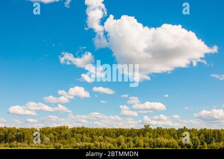 Schöner Picknickplatz am Ufer des Flusses Desna Stockfoto