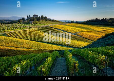 Eine Herbstlandschaft in der Chianti-Region der toskanischen Hügel in der Umgebung von Radda in Chianti Stockfoto