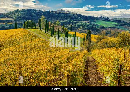 Chianti Weinberge im Herbst mit dem Dorf Radda in Chianti im Hintergrund Stockfoto