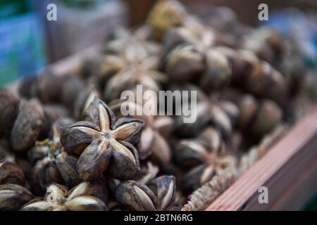 Sacha inchi, Sacha Erdnuss, Samen auf dem Markt. Stockfoto