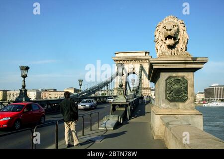 BUDAPEST, UNGARN - 13. JUNI 2008: Löwenstatue vor der Szechenyi Kettenbrücke, auch Szechenyi lanchid genannt, die für den Autoverkehr die t Stockfoto