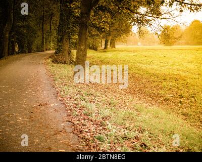 Herbstpanorama bei Sonnenuntergang. Horizontale Ansicht. Stockfoto