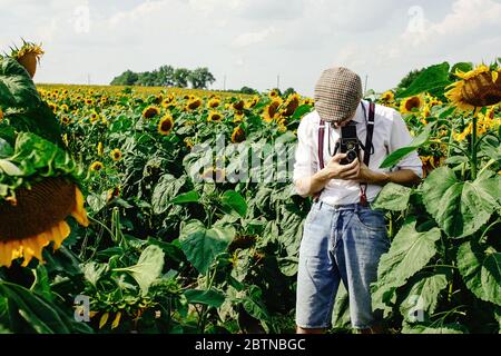 Stilvolle gut aussehende Bräutigam hält Mittelformat-Filmkamera, Aufnahme von wunderschönen Braut in sonnigen Sonnenblumenfeld Stockfoto