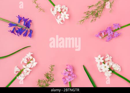 Rahmen aus Strauß von Frühlingsblumen aus weißen und lila Hyazinthen auf rosa Hintergrund Draufsicht Flat Lay Holiday Card Hallo Frühling Konzept Stockfoto