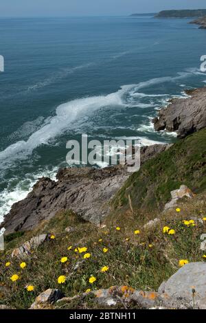 Sonniger Frühlingstag an der Gower Küste in der Nähe der Langland Bucht Stockfoto