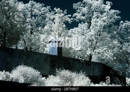 Infrarotbild - lindenhof - Stadt zürich - schweiz Stockfoto
