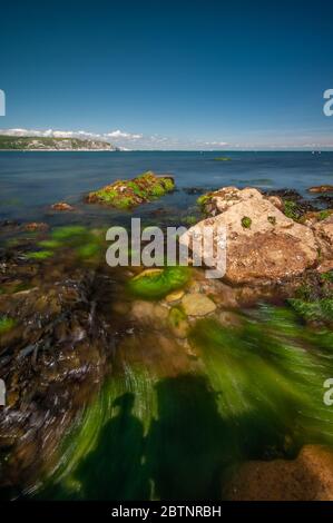 Felsen an der Südseite der Swanage Bay, Blick auf Ballard Down Stockfoto