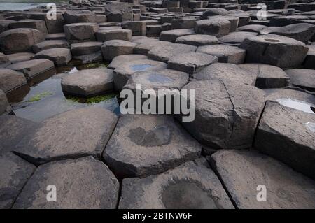 Sechseckige Säulen aus Basalt, The Giants Causeway, Co. Antrim Stockfoto