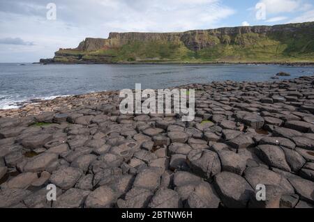 Basaltsäulen auf dem Giants Causeway, Co. Antrim Stockfoto