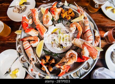 Meeresfrüchte-Platte mit Austern, Muscheln, Langoustinen, Hummer, Garnelen und Krabbenbeinen Stockfoto