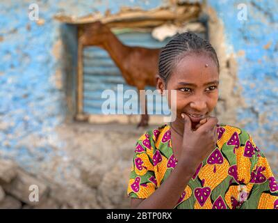 Lächelndes Mädchen mit traditioneller Kleidung, Danakil Depression, Afar Region, Äthiopien, Afrika Stockfoto