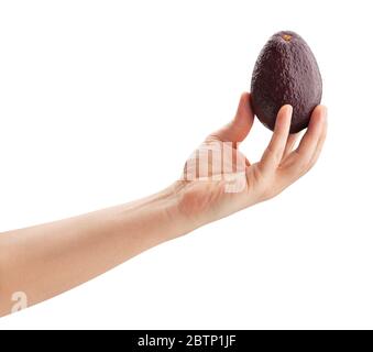 hass Avocado in Hand Pfad isoliert auf weiß Stockfoto