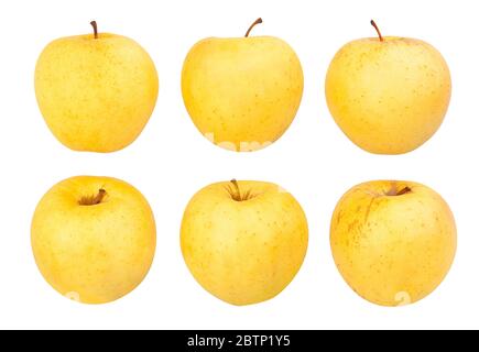 golden Delicious Äpfel Weg auf weiß isoliert Stockfoto
