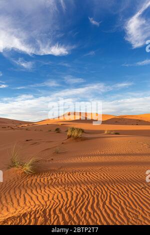 Sahara Stockfoto