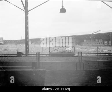 Crayford Greyhound Stadium. Juli 1937 Stockfoto