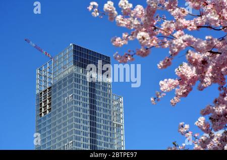 Turin, Piemont/Italien- 03/19/2019- der Bau des Hochhauses der Region Piemont, entworfen vom Architekten Fuksas, im Lingotto Nizza Millefo Stockfoto