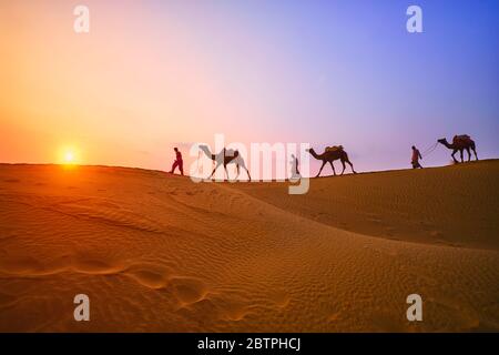 Indische Kameltreiber mit Kamelsilhouetten in Dünen bei Sonnenuntergang. Jaisalmer, Rajasthan, Indien Stockfoto