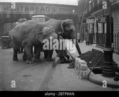 Uneigenartig Reisende! . Elefanten kommen in Waterloo an. Waterloo Station hatte eher einen Schock, als vier Elefanten ankamen. Sie waren auf dem Weg von Leeds zu einem Theater in South London. Foto zeigt, die Elefanten verlassen Waterloo Station. April 1936 Stockfoto