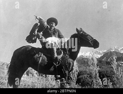 Seine Aufgabe abgeschlossen . Jagd Füchse mit einem Goldenen Adler . In der bergigen Staat Kasachstan, nicht weit von der Grenze der Sowjetunion und Westchina, Fuchsjagd wird mit geschulten Goldenen Adler, Raubvögel, die zu den heftigsten und stärksten auf der Erde sind getan. Diese Bilder sind wahrscheinlich die ersten überhaupt von diesem bemerkenswerten Sport gemacht. Der Vogel, trägt Scheuklappen, wartet geduldig, bis der Jäger ein Tier aus der Reichweite seiner Waffe erblicken. Die Scheuklappen werden dann entfernt, der Adler breitet seine mächtigen Flügel aus und fliegt in die Luft, bis er, nachdem er seine Beute gesichtet hat, swoockt Stockfoto